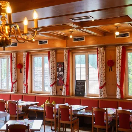 فندق Hirschen سشلوشسي