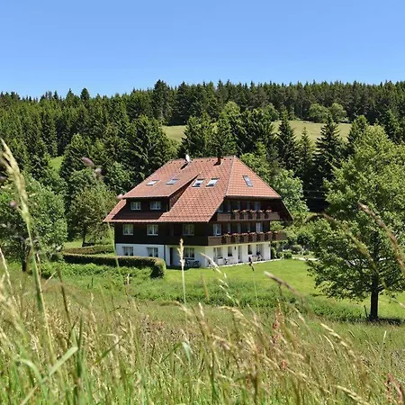 Hirschen Hotel Schluchsee