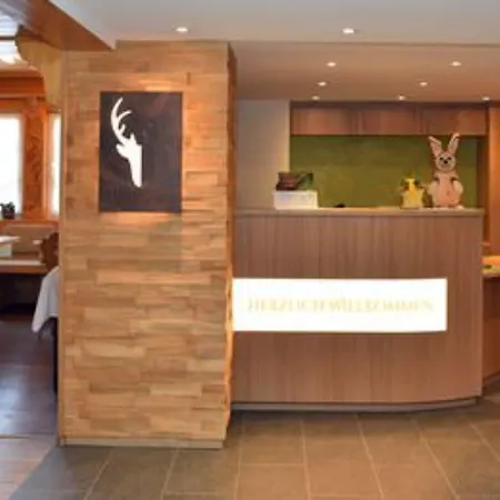 فندق Hirschen سشلوشسي