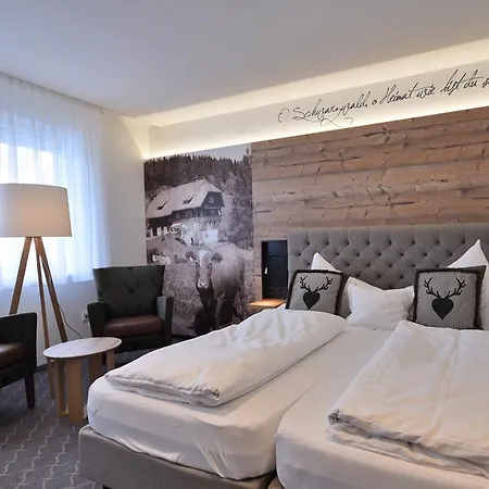 فندق Hirschen 3*