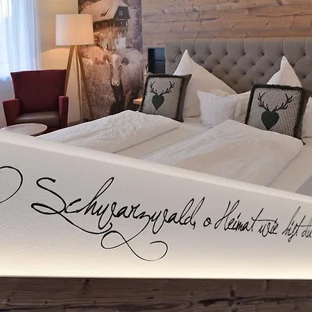 Hotel Hirschen 3*